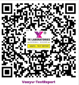 YK Labs Vaayu-TestReport